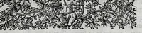 Picture 3 of 13 from Racconto historico del felicissimo maritaggio delle Sacre Cesaree Reali Maesta di Leopoldo et Eleonora Maddalena Teresa principessa nata di Neoburg sempre augusti (1677), leaf 7