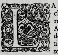 An illustration from Racconto historico del felicissimo maritaggio delle Sacre Cesaree Reali Maesta di Leopoldo et Eleonora Maddalena Teresa principessa nata di Neoburg sempre augusti (1677)