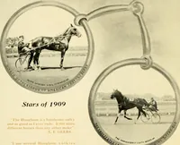 Picture 10 of 59 from Racing and pleasure vehicles : catalog no. 6, showing a complete line of vehicles suitable for all speeding and driving purposes (1910), leaf 22
