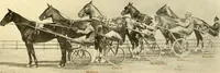 An illustration from Racing and pleasure vehicles : catalog no. 6, showing a complete line of vehicles suitable for all speeding and driving purposes (1910)