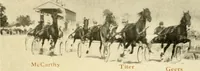 An illustration from Racing and pleasure vehicles : catalog no. 6, showing a complete line of vehicles suitable for all speeding and driving purposes (1910)