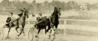 An illustration from Racing and pleasure vehicles : catalog no. 6, showing a complete line of vehicles suitable for all speeding and driving purposes (1910)
