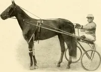 An illustration from Racing and pleasure vehicles : catalog no. 6, showing a complete line of vehicles suitable for all speeding and driving purposes (1910)
