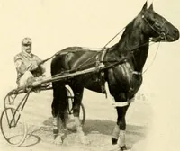 An illustration from Racing and pleasure vehicles : catalog no. 6, showing a complete line of vehicles suitable for all speeding and driving purposes (1910)
