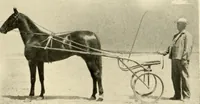 An illustration from Racing and pleasure vehicles : catalog no. 6, showing a complete line of vehicles suitable for all speeding and driving purposes (1910)