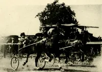 An illustration from Racing and pleasure vehicles : catalog no. 6, showing a complete line of vehicles suitable for all speeding and driving purposes (1910)