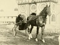 An illustration from Racing and pleasure vehicles : catalog no. 6, showing a complete line of vehicles suitable for all speeding and driving purposes (1910)