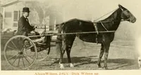 An illustration from Racing and pleasure vehicles : catalog no. 6, showing a complete line of vehicles suitable for all speeding and driving purposes (1910)