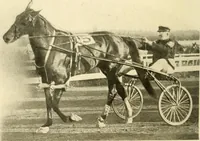 An illustration from Racing and pleasure vehicles : catalog no. 6, showing a complete line of vehicles suitable for all speeding and driving purposes (1910)