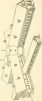 An illustration from Radford's combined house and barn plan book (1908)