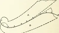 An illustration from Radford's cyclopedia of construction; carpentry, building and architecture. Based on the practical experience of a large staff of experts in actual constrcution work (1909)