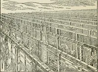 An illustration from Radford's cyclopedia of construction; carpentry, building and architecture. Based on the practical experience of a large staff of experts in actual constrcution work (1909)