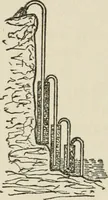 An illustration from Radford's cyclopedia of construction; carpentry, building and architecture. Based on the practical experience of a large staff of experts in actual constrcution work (1909)