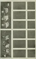 An illustration from Radford's cyclopedia of construction; carpentry, building and architecture. Based on the practical experience of a large staff of experts in actual constrcution work (1909)