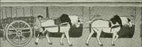An illustration from Radford's cyclopedia of construction; carpentry, building and architecture. Based on the practical experience of a large staff of experts in actual constrcution work (1909)