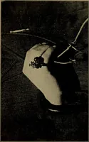 Picture 36 of 83 from Radio, miracle of the 20th century ... a story of human achievement that stands unrivalled in the history of humanity, together with a colorful portrayal, giving a broad, general view of the whole subject of wireless telegraph and telephone and its marvelous development (1922), leaf 187