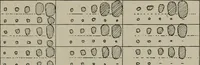 An illustration from Radium, X rays and the living cell (1915)