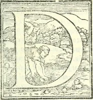 An illustration from Ragionamenti accademici .. (1567)