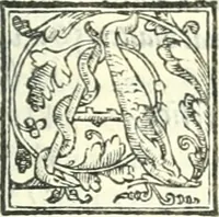 An illustration from Ragionamenti accademici .. (1567)