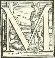 An illustration from Ragionamenti accademici .. (1567)