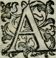 An illustration from Ragionamenti di Lorenzo Capelloni sopra varij essempi ciuili, & militari. Aggiunteui le Memorie del signore d'Argentone (1610)