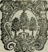 An illustration from Ragionamenti di Lorenzo Capelloni sopra varij essempi ciuili, & militari. Aggiunteui le Memorie del signore d'Argentone (1610)
