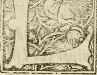 An illustration from Ragionamento del terremoto, del Nvovo monte, del aprimento di terra in Pozvolo nel anno 1538 : e dela significatione d'essi (1539)