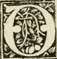 An illustration from Ragionamento del terremoto, del Nvovo monte, del aprimento di terra in Pozvolo nel anno 1538 : e dela significatione d'essi (1539)