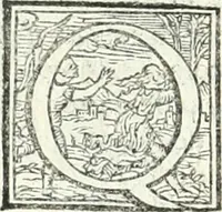 Picture 24 of 184 from Ragionamento di Lvca Contile sopra la proprietà delle imprese : con le particolari de gli academici Affidati et con le interpretationi et croniche (1574), leaf 127