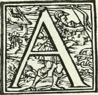 Picture 31 of 184 from Ragionamento di Lvca Contile sopra la proprietà delle imprese : con le particolari de gli academici Affidati et con le interpretationi et croniche (1574), leaf 135