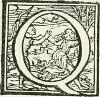 An illustration from Ragionamento di Lvca Contile sopra la proprietà delle imprese : con le particolari de gli academici Affidati et con le interpretationi et croniche (1574)