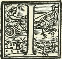 An illustration from Ragionamento di Lvca Contile sopra la proprietà delle imprese : con le particolari de gli academici Affidati et con le interpretationi et croniche (1574)