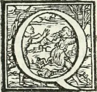 Picture 65 of 184 from Ragionamento di Lvca Contile sopra la proprietà delle imprese : con le particolari de gli academici Affidati et con le interpretationi et croniche (1574), leaf 177