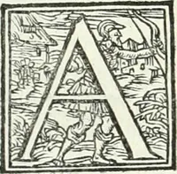 Picture 74 of 184 from Ragionamento di Lvca Contile sopra la proprietà delle imprese : con le particolari de gli academici Affidati et con le interpretationi et croniche (1574), leaf 189