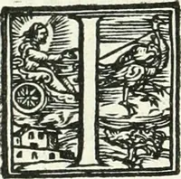 Picture 81 of 184 from Ragionamento di Lvca Contile sopra la proprietà delle imprese : con le particolari de gli academici Affidati et con le interpretationi et croniche (1574), leaf 197