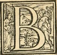 An illustration from Ragionamento di Lvca Contile sopra la proprietà delle imprese : con le particolari de gli academici Affidati et con le interpretationi et croniche (1574)