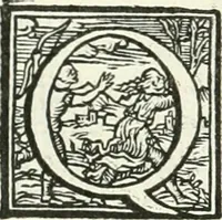 An illustration from Ragionamento di Lvca Contile sopra la proprietà delle imprese : con le particolari de gli academici Affidati et con le interpretationi et croniche (1574)