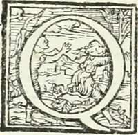 An illustration from Ragionamento di Lvca Contile sopra la proprietà delle imprese : con le particolari de gli academici Affidati et con le interpretationi et croniche (1574)