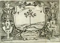 An illustration from Ragionamento di Lvca Contile sopra la proprietà delle imprese : con le particolari de gli academici Affidati et con le interpretationi et croniche (1574)