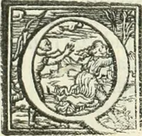 Picture 152 of 184 from Ragionamento di Lvca Contile sopra la proprietà delle imprese : con le particolari de gli academici Affidati et con le interpretationi et croniche (1574), leaf 293