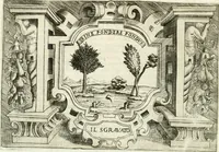 Picture 153 of 184 from Ragionamento di Lvca Contile sopra la proprietà delle imprese : con le particolari de gli academici Affidati et con le interpretationi et croniche (1574), leaf 295
