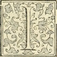An illustration from Ragionamento di Lvca Contile sopra la proprietà delle imprese : con le particolari de gli academici Affidati et con le interpretationi et croniche (1574)