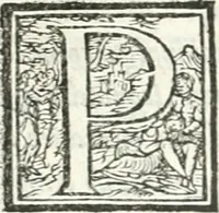 An illustration from Ragionamento di Lvca Contile sopra la proprietà delle imprese : con le particolari de gli academici Affidati et con le interpretationi et croniche (1574)