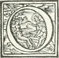 An illustration from Ragionamento di Lvca Contile sopra la proprietà delle imprese : con le particolari de gli academici Affidati et con le interpretationi et croniche (1574)
