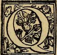 An illustration from Ragionamento di M. Givseppe Betvssi sopra il Cathaio, lvogo dello ill. S. Pio Enea Obizzi (1573)