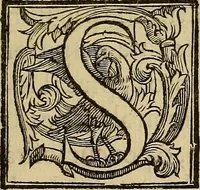 An illustration from Ragionamento di M. Givseppe Betvssi sopra il Cathaio, lvogo dello ill. S. Pio Enea Obizzi (1573)