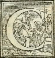 An illustration from Ragionamento di mons. Paolo Giovio sopra i motti, & disegni d'arme, & d'amore, che communemente chiamano imprese : con vn discorso di Girolamo Ruscelli, intorno allo stesso soggetto (1556)