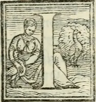 An illustration from Ragionamento di mons. Paolo Giovio sopra i motti, & disegni d'arme, & d'amore, che communemente chiamano imprese : con vn discorso di Girolamo Ruscelli, intorno allo stesso soggetto (1556)