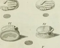 Picture 1 of 11 from Ragionamento a Madama N.N. sopra gli antichi ornamenti e trastulli de'bambini (1781), leaf 48