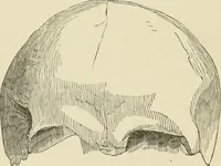 An illustration from Ragnarok: the age of fire and gravel (1883)